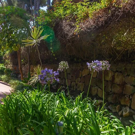 Апартаменты Letmalaga Don Carlos Gardens *